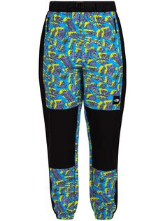 The North Face спортивные брюки Black Box с графичным принтом
