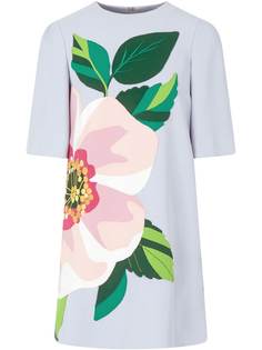 Dolce & Gabbana платье мини с цветочной аппликацией