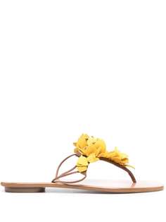 Aquazzura сандалии Bougainvillea