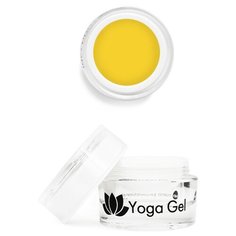 Пластилин Nano Professional Yoga Gel 06 смелость желаний