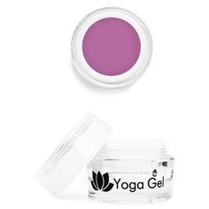 Пластилин Nano Professional Yoga Gel 12 палитра фантазий