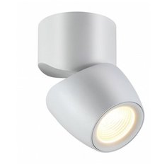 Спот Novotech Zeus 357868