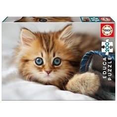 Пазл Educa Котенок (17154), 200 дет.