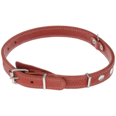 Ошейник Аркон Стандарт (о25/2) 40-54 см красный