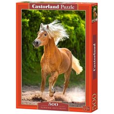 Пазл Castorland Бегущий Хафлингер (B-52981), 500 дет.