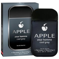 Туалетная вода Apple Parfums Apple pour Homme Cool Gray, 100 мл