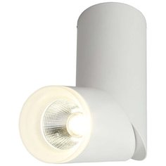 Спот Omnilux OML-100209-10