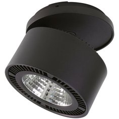 Спот Lightstar Forte Inca 214807
