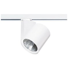 Трековый светильник-спот Eglo Ferronego 61452