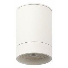 Спот DENKIRS DK2050-WH