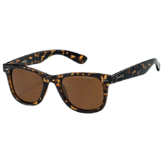 Очки POLAROID P8428B