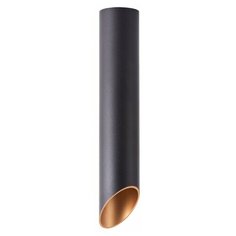 Спот Arte Lamp Pilon-gold A1536PL-1BK