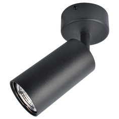 Спот Arte Lamp Aquarius A3216PL-1BK