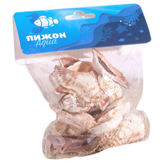 Ракушка для аквариума Пижон Aqua 1152496 бежевый