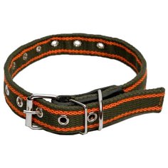 Ошейник Пижон щенячий двухслойный (5217325), 54 см хаки/оранжевый