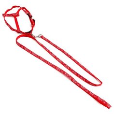 Шлейка с поводком Пижон Звездные косточки красный