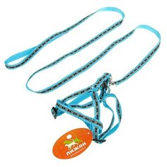 Шлейка с поводком Пижон Косточки голубой