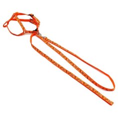 Шлейка с поводком Пижон Звездные косточки оранжевый