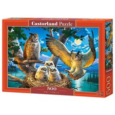 Пазл Castorland Совиное семейство (B-53322), 500 дет.