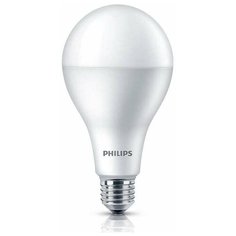 Лампа светодиодная Philips LED 6500K, E27, A80, 19Вт