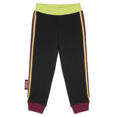 Брюки Lucky Child Ми-ми-мишки 70-11ПФ серые 68-74