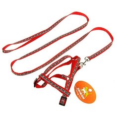 Шлейка с поводком Пижон Косточки красный