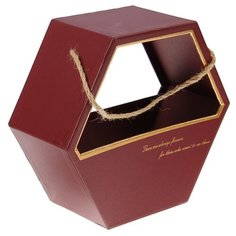 Коробка подарочная Yiwu Zhousima Crafts для цветов 22 х 22 х 10 см бордовый