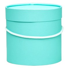 Коробка подарочная ИП Тимшин Иван Валерьевич Круглая 15 х 15 см мятный