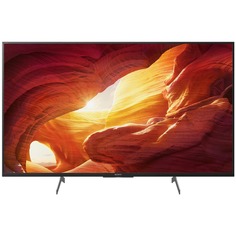 Телевизор Sony KD-49XH8596BR