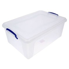 DDStyle Контейнер Клиер 30156 21 л, 32x47.6 см, синий/прозрачный