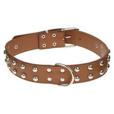 Ошейник Пижон клепаный в 2 ряда (1290898-1290901), 65.5 см коричневый