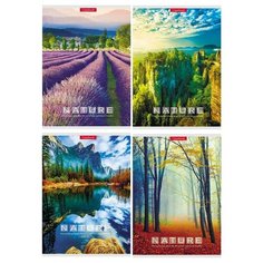 Тетрадь общая А5,96л,кл,скреп,мел.обл,бл.офсет-2 КРАСИВЫЕ ВИДЫ 96-2960 асс 5 штук Проф Пресс