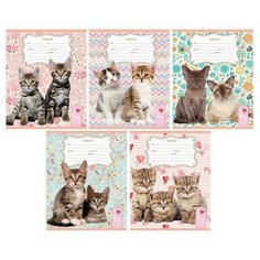 Тетрадь школьная А5 24л,кл,скреп,карт,бл.офсет-2 МИЛЫЕ КОТЯТА-5 24-3595асс 10 штук Проф Пресс