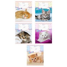 Тетрадь школьная А5 18л,линия,скреп,мел.карт. КОТЯТА НА ОДЕЯЛАХ 18-3546 асс 12 штук Проф Пресс