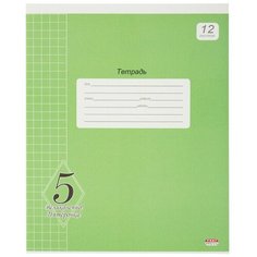 Тетрадь школьная А5,12л,клетка ВЕЛИКОЛЕПНО! ПЯТЕРКА! ЗЕЛЕНАЯ 12-8719 16 штук Проф Пресс