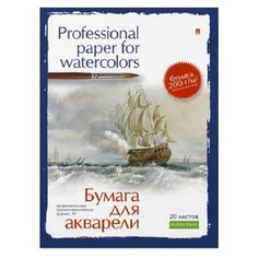 Папка для рисования акварелью А4,20л,блок ГОЗНАК 200гр 4-021 дизайн в ассор 2 штуки Альт