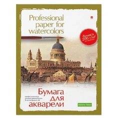 Папка для рисования акварелью А4,8л,блок ГОЗНАК 200гр 4-006 дизайн в ассорт 2 штуки Альт