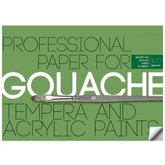 Бумага для акрила,гуаши и темперы А4,10л,блок 300гр, в папке 4-120 Bruno Visconti