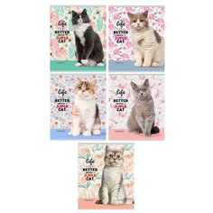 Тетрадь общая А5,48л,лин,скреп,мел.обл,бл.офсет-2 ЖИЗНЬ С КОТОМ 48-6606 асс 7 штук Проф Пресс