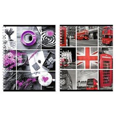 Тетрадь общая А5,80л,клетка,цв.гребень,мел.обл. КОНТРАСТЫ 80-1622 в ассор 3 штуки Проф Пресс