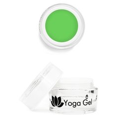 Пластилин Nano Professional Yoga Gel 10 путь истины