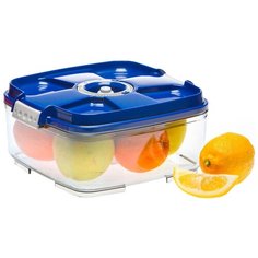 STATUS Контейнер вакуумный VAC-SQ-20, 22x22 см, blue