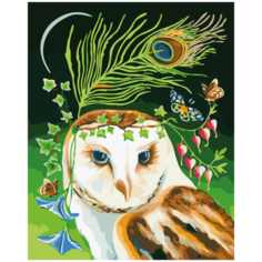 Color Kit Картина по номерам "Сова-аристократка" 40х50 (CG448)