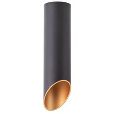 Спот Arte Lamp Pilon-Gold A1535PL-1BK