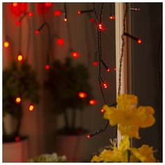 Гирлянда Luazon Lighting Бахрома 80 LED, 300х50 см, 80 ламп, красный/черный провод