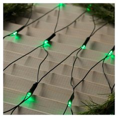 Гирлянда Luazon Lighting Сетка Eco 200 x 200 см, 224 ламп, зеленый/черный провод