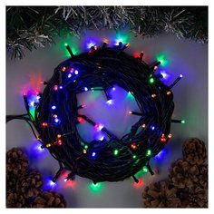 Гирлянда Luazon Lighting 187242, мульти/черный провод