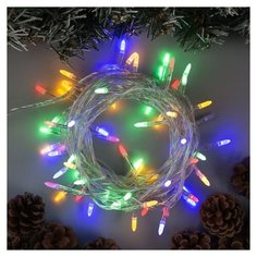Гирлянда Luazon Lighting Нить Decor Игла 1000 см, 100 ламп, разноцветный/прозрачный провoд