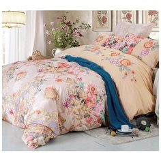 Сайлид Постельное белье СайлиД сатин D-181 2сп