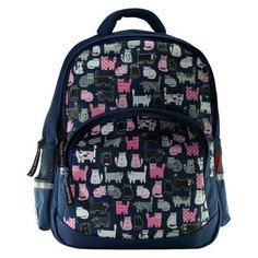 Рюкзак школьный КИС-КИС синий эргономичная спинка, 12-002/43 Bruno Visconti